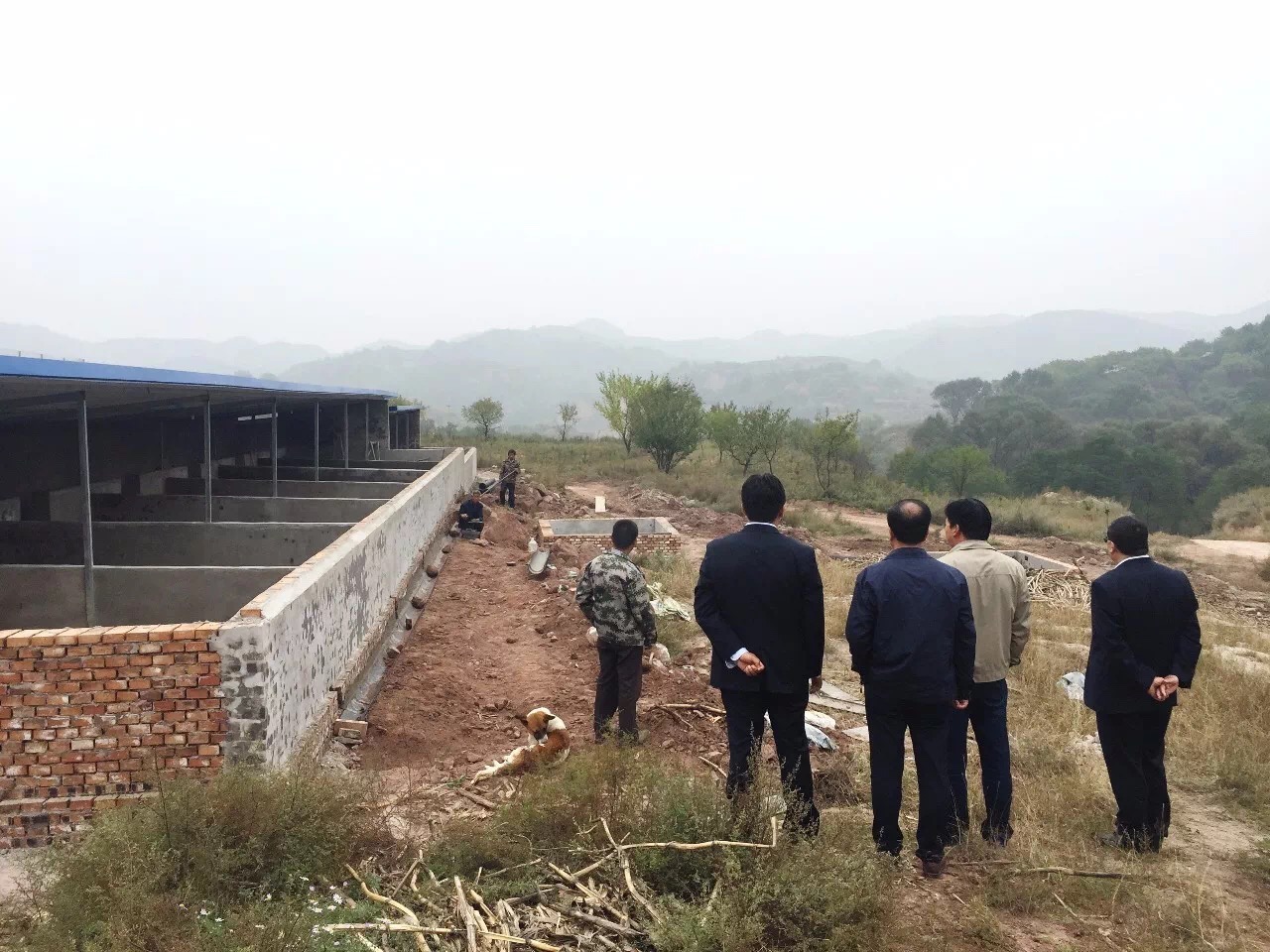 im�羺��(�й�)���Ӿ���ƽ̨