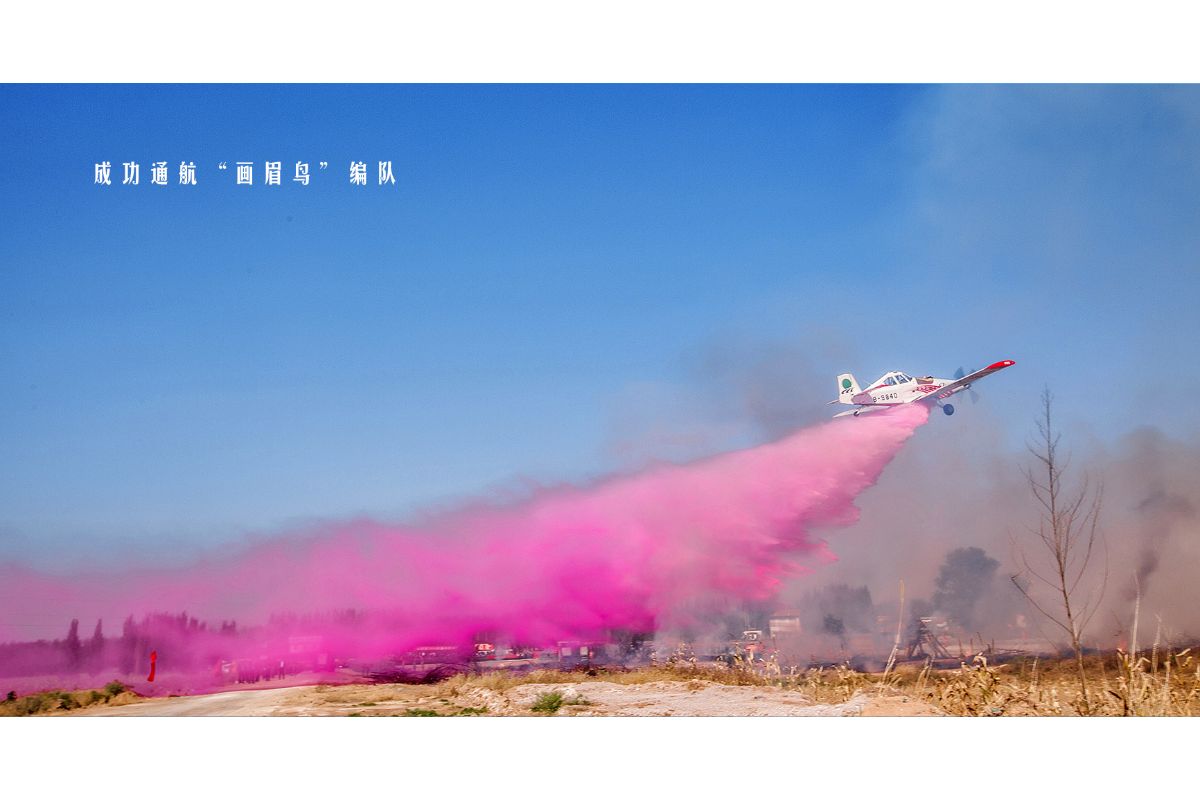 im�羺��(�й�)���Ӿ���ƽ̨