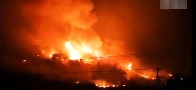 im�羺��(�й�)���Ӿ���ƽ̨