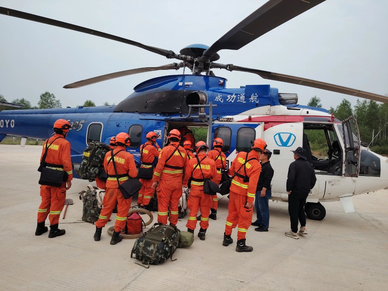 ǧ���Ԯ����ħ һ����ս������ --im�羺��(�й�)���Ӿ���ƽ̨ͨ��������˰���ɭ�ֻ��־�Ԯ����