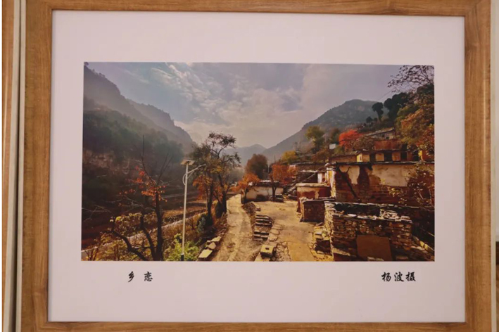 im�羺��(�й�)���Ӿ���ƽ̨